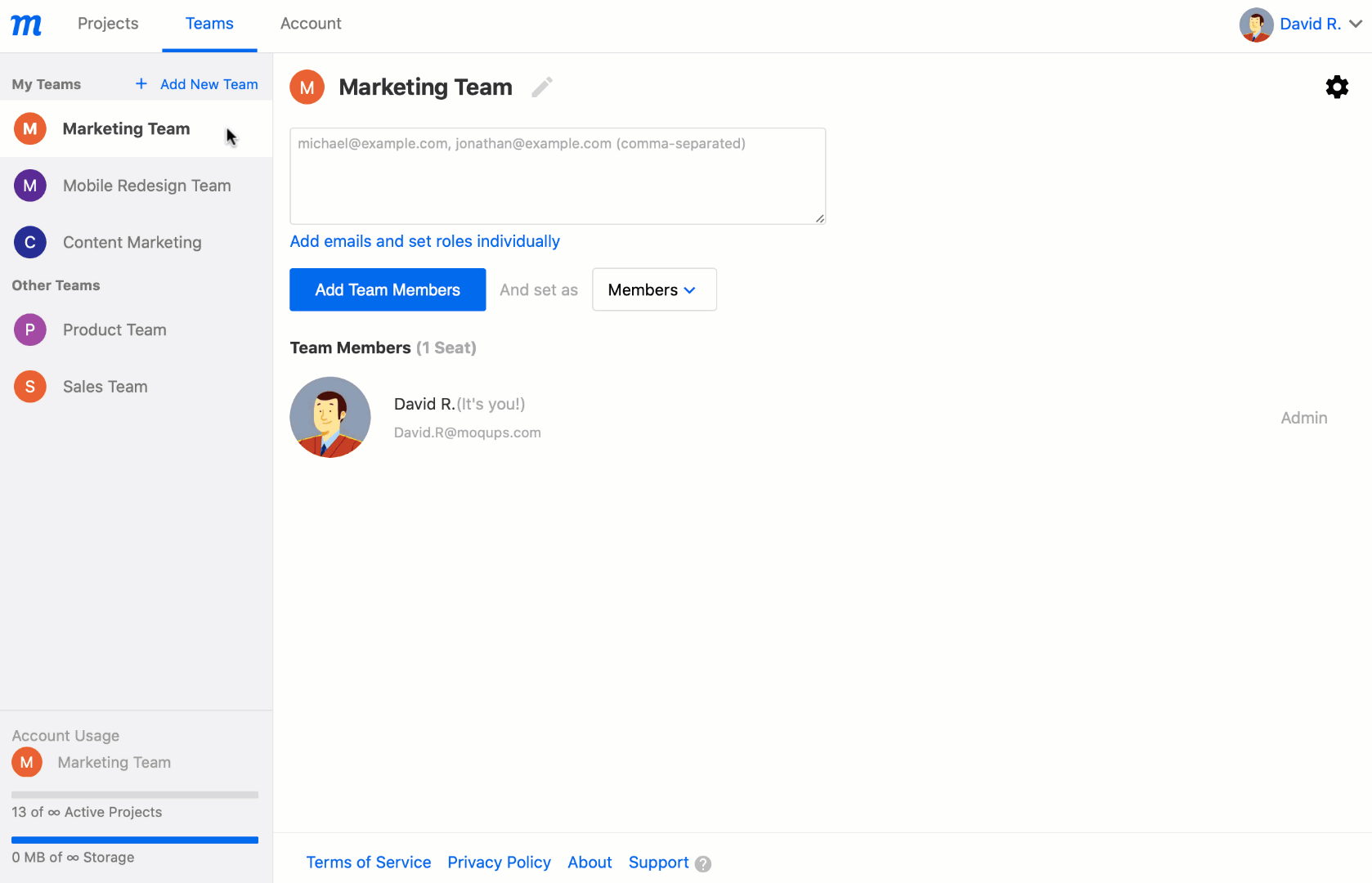8NEWAddTeamMembersinBulk.gif